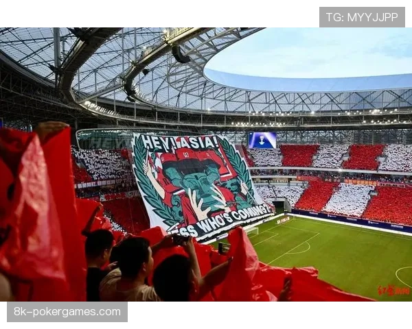 特写镜头:威斯特法伦南看台巨型TIFO亮相国家德比 特写镜头:威斯特法伦南看台巨型TIFO亮相国家德比